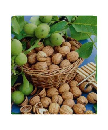 KA AN 10 KG Organic our own crop this year's crop thin-shelled white-kerneled Chandler walnuts - Buy Online on GoSupps.com