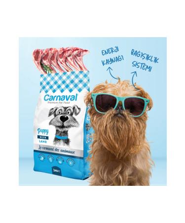 Carnaval Lamb Puppy Food 3kg - Buy Online on GoSupps.com