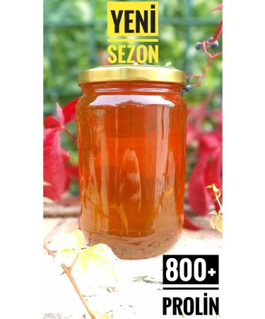saraco ullar 1 kg New Season Pure Flower Honey - High Proline - Sugar Free - Erzurum Ard l Village - Buy Online on GoSupps.com
