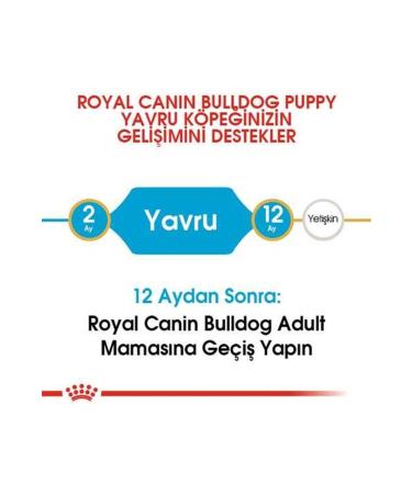 Royal Canin French Bulldog Junior Puppy Food 3 Kg - Buy Online on GoSupps.com