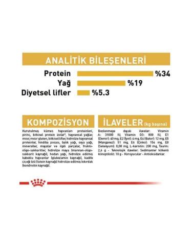 Royal Canin British Shorthair Cat Food 10 Kg - Buy Online on GoSupps.com