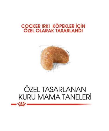 Royal Canin Cocker Breed Special Dog Food 3 Kg - Buy Online on GoSupps.com