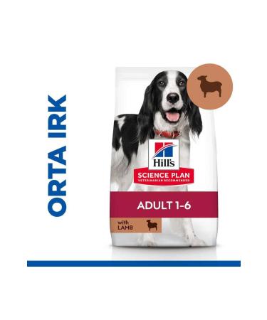 Hill's SCIENCE PLAN Lamb and Rice Medium Breed Adult Dog Food 14 Kg