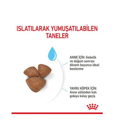 Royal Canin Mini Starter Small Breed Mother and Puppy Dog Food 4 Kg - Buy Online on GoSupps.com