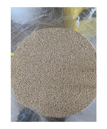 MK YAYLA SEEDS Budgie Food - White Millet 10 Kg - Buy Online on GoSupps.com