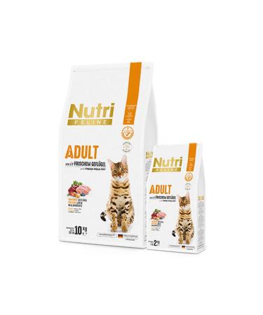 Nutri Feline Adult Cat Fresh Salmon Gluten-Free and Grain-Free 2 kg Dry Food - Nutri Feline Sterilized - Buy Online on GoSupps.com