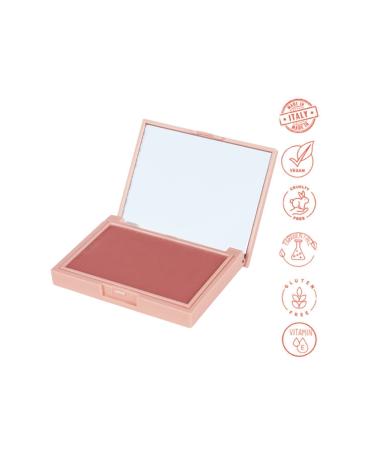 Dora Joy Matte Powder Blush 05 Dusty Rose Powder Blush Vegan Vitamin E