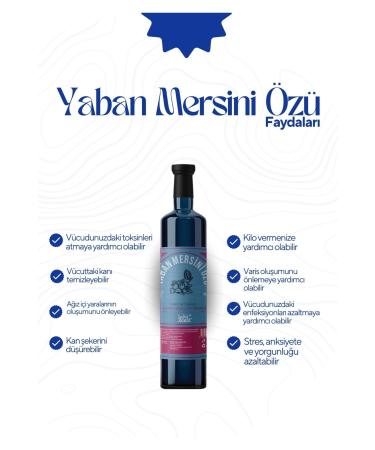 KADIRZADE Premium Blueberry 700gr - Buy Online on GoSupps.com