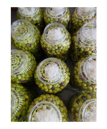 Mut Pearl Olives & Olive Oil Green Cracked Olives (4 pieces of 5 liter PET bottles) Bitter - Buy Online on GoSupps.com