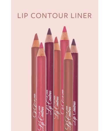 Pastel PROFASHION PLUMPING GLOSS 207 + PASTEL LIP CONTOUR LIP LINER 52 - Buy Online on GoSupps.com