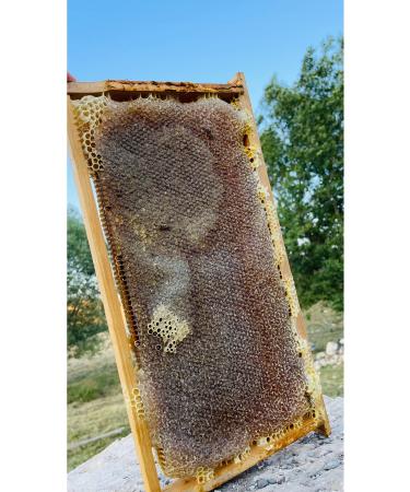Kangal Balevim Natural Lath Comb Honey 3300 gr - Buy Online on GoSupps.com