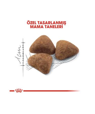 Royal Canin Indoor 27 Cat Food for House Cats 2 Kg - Buy Online on GoSupps.com