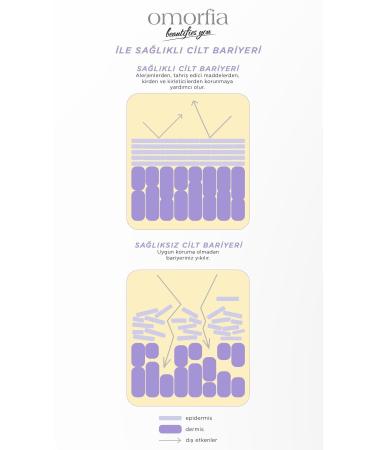 OMORFIA Anti-Aging and Anti-Wrinkle Repair Nourishing 1% Retinol Skin Care Serum 30 Ml - Buy Online on GoSupps.com