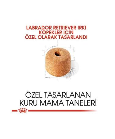 Royal Canin Labrador Retriever Breed Dog Food 12 Kg - Buy Online on GoSupps.com