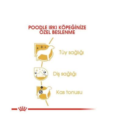 Royal Canin Poodle Adult Dog Food 3 Kg - Buy Online on GoSupps.com
