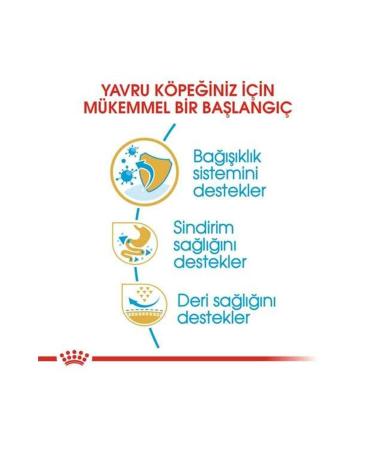 Royal Canin French Bulldog Junior Puppy Food 3 Kg - Buy Online on GoSupps.com