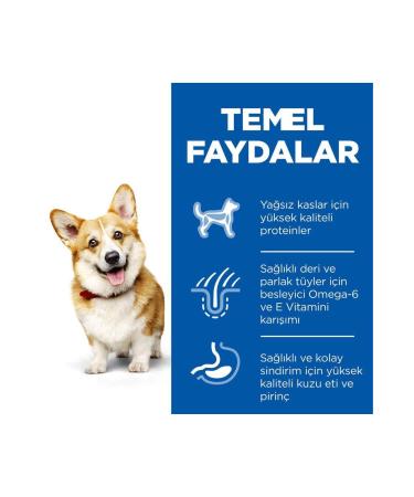 Hill's Small Mini Lamb Adult Dog Food 6 Kg - Buy Online on GoSupps.com