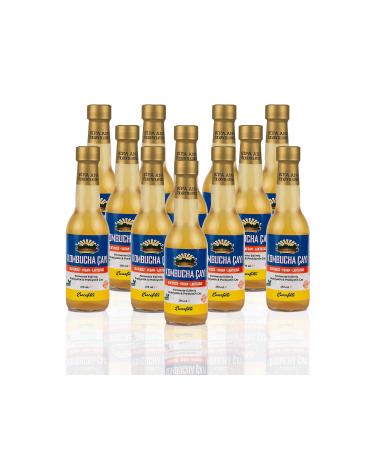 FERMENTE AT LYE 12 Ginger Kombucha (250ml.) in Glass Bottle