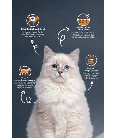 Reflex Sterilized Salmon Sterilized Cat Food with Salmon and Rice 2 Kg X 3 Packages - Buy Online on GoSupps.com