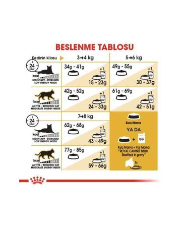 Royal Canin British Shorthair Cat Food 10 Kg - Buy Online on GoSupps.com