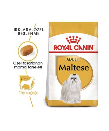 Royal Canin Maltese Bichon Maltais Dog Food 1.5 Kg - Buy Online on GoSupps.com