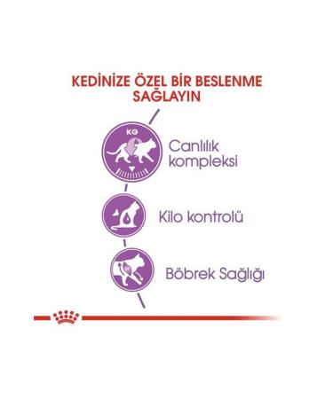 Royal Canin Fhn Sterilised 37 Sterilised Cat Food 2 Kg - Buy Online on GoSupps.com