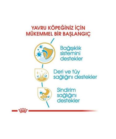 Royal Canin Cocker Junior Puppy Food 3 Kg - Buy Online on GoSupps.com