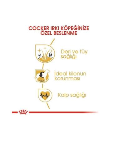 Royal Canin Cocker Breed Special Dog Food 3 Kg - Buy Online on GoSupps.com