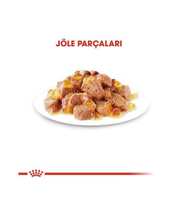 Royal Canin Pouch Jelly Hair Skin Sensitive Cat Food 85 gr * 12 Pieces - Buy Online on GoSupps.com