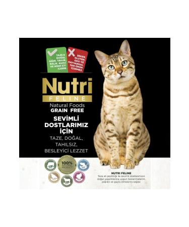 Nutri Feline 2kg Adult Urinary Cat Food with Salmon Meat - Buy Online on GoSupps.com
