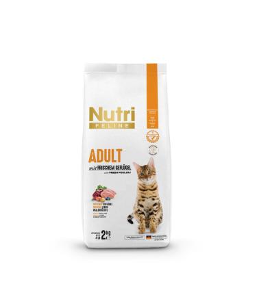 Nutri Feline Adult Cat Fresh Salmon Gluten-Free and Grain-Free 2 kg Dry Food - Nutri Feline Sterilized - Buy Online on GoSupps.com