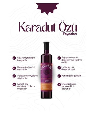 KADIRZADE Premium Black Mulberry Extract 700gr - Buy Online on GoSupps.com
