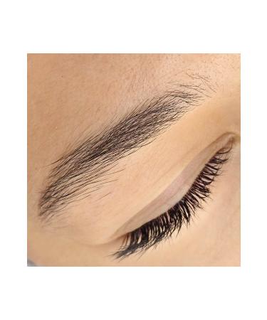 safina eyebrow fixer 'Safina' - Buy Online on GoSupps.com