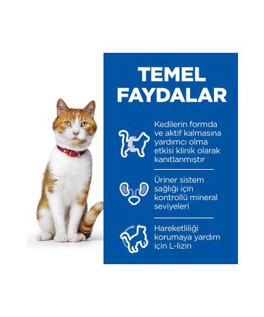 Hill's SCIENCE PLAN Chicken Sterilized Adult Cat Pouch 12 x 85g - Buy Online on GoSupps.com