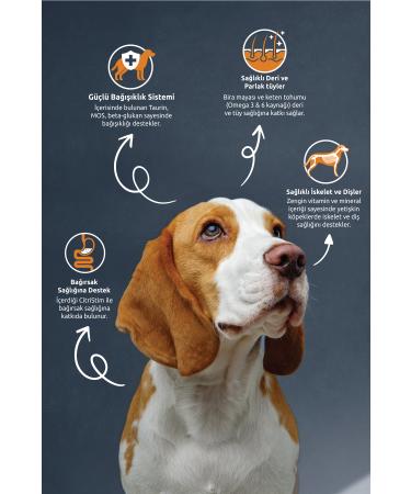 Reflex Lamb Rice Adult Dog Foof 10 Kg - Buy Online on GoSupps.com