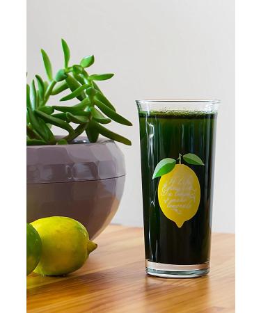 Ayhan Ercan Organic Chlorella Powder 135 G - Buy Online on GoSupps.com