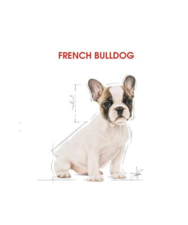 Royal Canin French Bulldog Junior Puppy Food 3kg - Buy Online on GoSupps.com