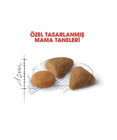 Royal Canin Savour Exigent Adult Cat Food for Picky Cats 2 Kg - Buy Online on GoSupps.com