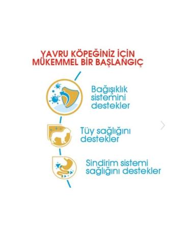 Royal Canin Dog Bhn Poodle Junior Dog Food 3 Kg - Buy Online on GoSupps.com