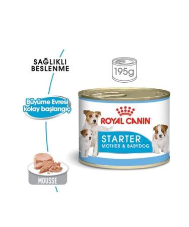 Royal Canin Starter Mousse Puppy Canned Food 195 Gr X 12 Pieces