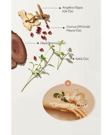 Missha Anti-Aging Care and Intensive Coverage Cream BB CHOGONGJIN BB Pact (21N) SPF50+/PA++++ - Buy Online on GoSupps.com