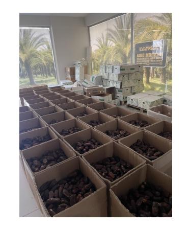 mabrum food CAMPAIGN 2.5 KG Medina Mebrum Dates ( 2.5 KG ) - Buy Online on GoSupps.com