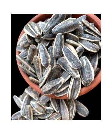Dakota sunflower seeds