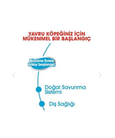 Royal Canin Starter Mousse Puppy Canned Food 195 Gr X 12 Pieces - Buy Online on GoSupps.com