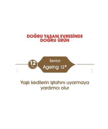 Royal Canin Ageing Senior Cat Food 2kg for 12+ Years Old - Buy Online on GoSupps.com