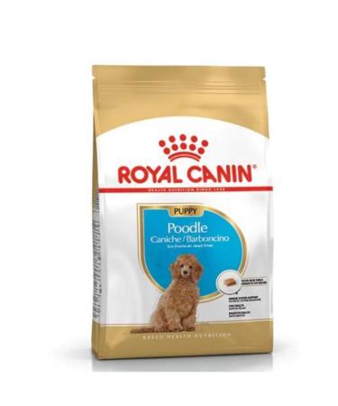 Royal Canin Dog Bhn Poodle Junior Dog Food 3 Kg - Buy Online on GoSupps.com