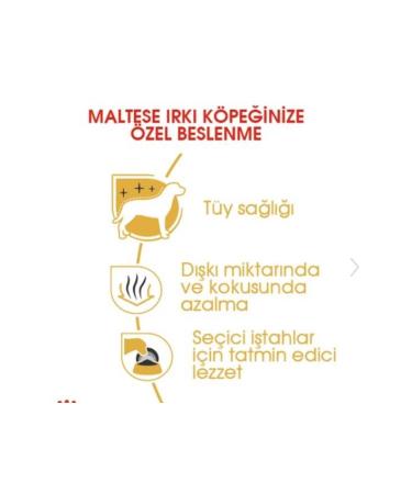 Royal Canin Maltese Terrier Adult Dog Food 1.5kg - Buy Online on GoSupps.com