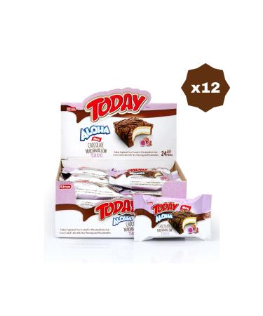 Elvan ALOHA MINI TOROLU MARSHMALLOW 20 GR 24 PIECES - (12 PACK)