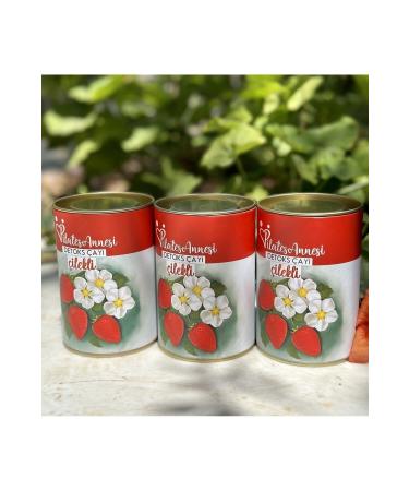 pilatesannesi 3 Pack Strawberry Piece Detox Tea - Buy Online on GoSupps.com