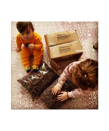 mabrum food CAMPAIGN 2.5 KG Medina Mebrum Dates ( 2.5 KG ) - Buy Online on GoSupps.com